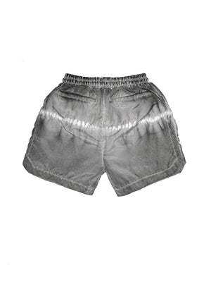 Load image into Gallery viewer, Electric Flash Swim Shorts - Men